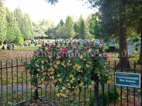 image of cemetery